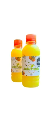 Jugo pet Naranja 250ml